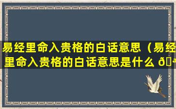 易经里命入贵格的白话意思（易经里命入贵格的白话意思是什么 🪴 ）